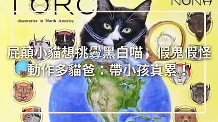 petsmao.nownews-copy4-20200401-11:07