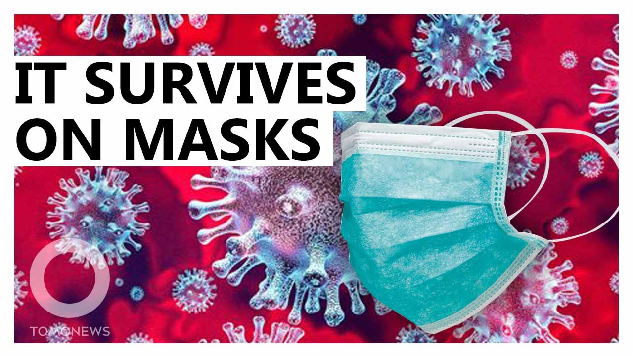 COVID-19 can survive on medical masks for seven days