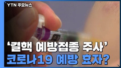 '불주사'가 코로나19 사망률 줄였다?...과학계 검증 돌입 / YTN