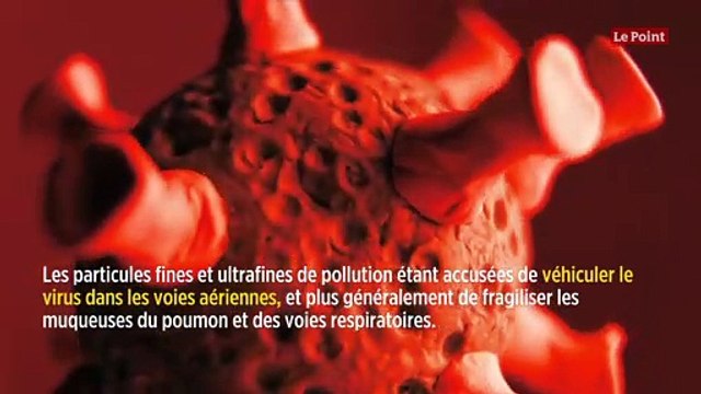 Pic de pollution en France ? Condamnez vos cheminées !