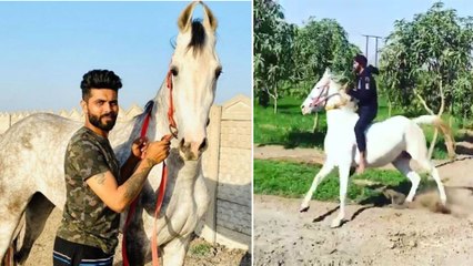Ravindra Jadeja Shares Throwback Video Of Horse Riding