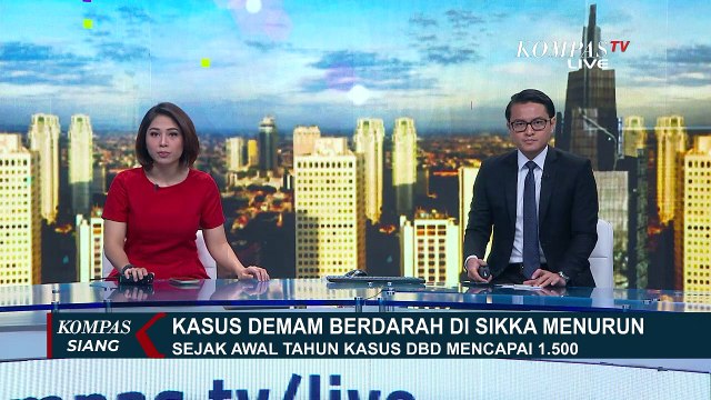 Kasus Demam Berdarah di Sikka Turun Drastis, 36 Pasien Masih Dirawat di Puskesmas