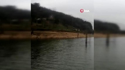 12 gün sonra evden çıktı, hayat kurtardı
