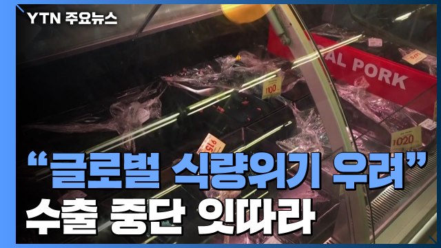 4~5월 글로벌 식량 위기 우려 ...식량 수출 중단 잇따라 / YTN