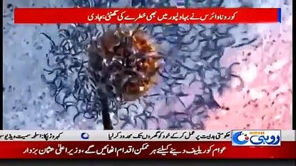 Watch Full Coronavirus Coverage | Coronavirus Also Sounded Alarm In Bahawalpur