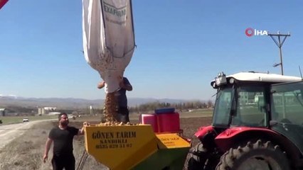 "Üretim durursa hayat durur" diyerek patates ekimini sürdürüyorlar