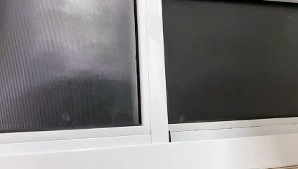 Moradora pede ajuda após aparecimento de abelhas em residência no Bairro Tropical