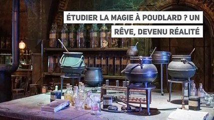 Étudier la magie à Poudlard ? Un rêve, devenu réalité