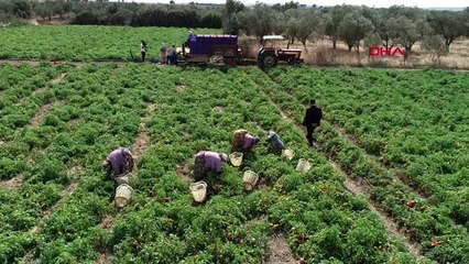 Çanakkaleli çiftçiler tarlada sosyal mesafeyle üretime devam etmek istiyor
