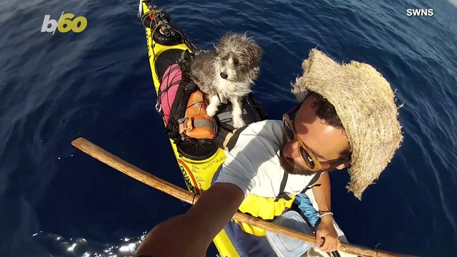 Rescued Stray Dog Joins Spanish Kayaker on Seafaring Adventure!