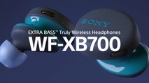 Présentation des écouteurs Sony WF-XB700