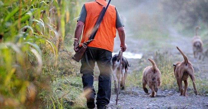 En plein confinement, des chasseurs autorisés à reprendre le fusil