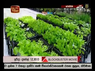 Atapattama 2020.04.01