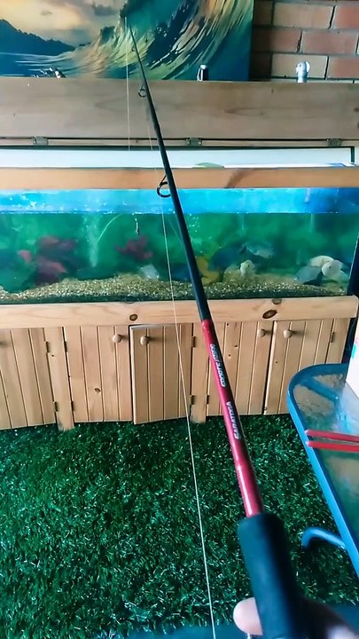 Fishing From Home During Isolation