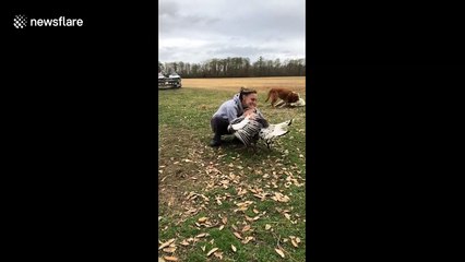 Heartwarming moment when turkey hugs a girl in North Carolina