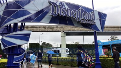 Disney Senior Executives Take Pay Cuts to Counteract COVID-19 Impact