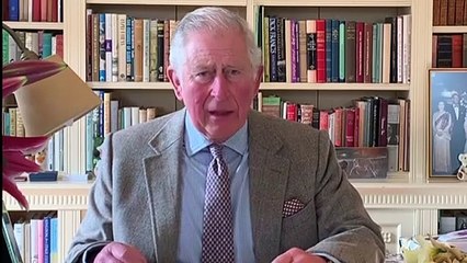 Príncipe Charles diz estar bem