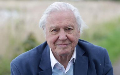 Take a Virtual Tour of the Great Barrier Reef With David Attenborough As Your Guide