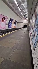 Cette souris est la reine de la station de métro... vive le confinement