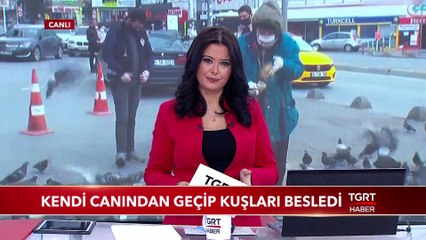Beslediği Kuşlar İçin Hayatını Riske Attı