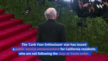 Larry David Tells 'Idiots' Still Going out to Stay at Home