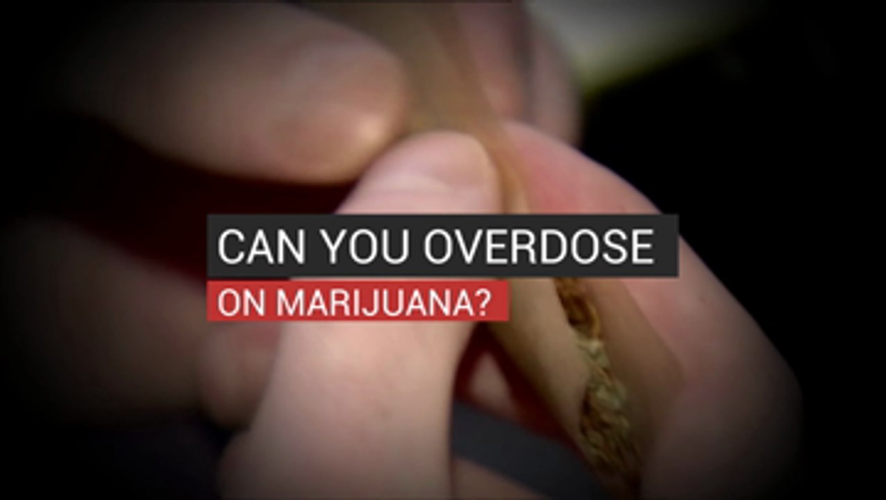 Can You Overdose On Marijuana?