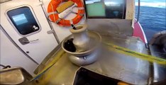 Otomatik Balık Yakalama Makinesi ŞOK OLACAKSINIZ! - Amazing Automatic Lines, Catching Fish Right