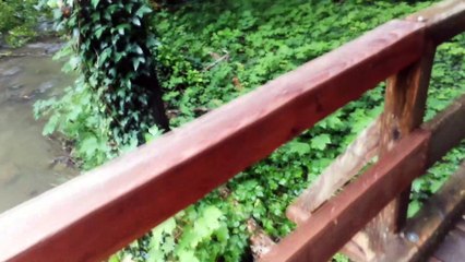 Wandering through breathtaking nature of Mullerthal, Luxembourg || StayAway