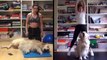 Exercising At Home Isn't Easy With A Playful Dog Around