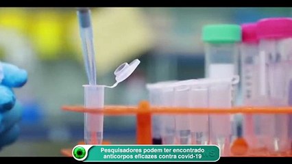 Pesquisadores podem ter encontrado anticorpos eficazes contra covid-19