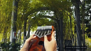 How Great is Our God - Kalimba Cover_HD