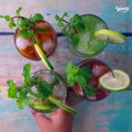 6 Refreshing Summer Drinks _ Cold Drinks For Summer | Yummy Summer Drinks Recipe