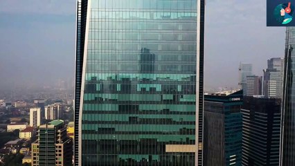 Audio Library || Free Music || Lightning Bugs