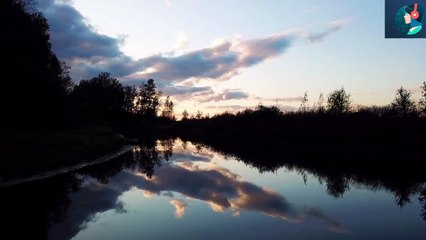 Audio Library || Free Music || Long Walks