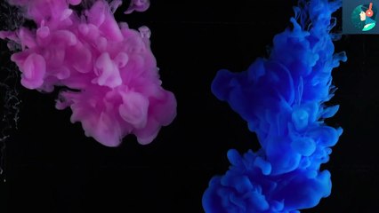 Audio Library || Free Music || Materialize