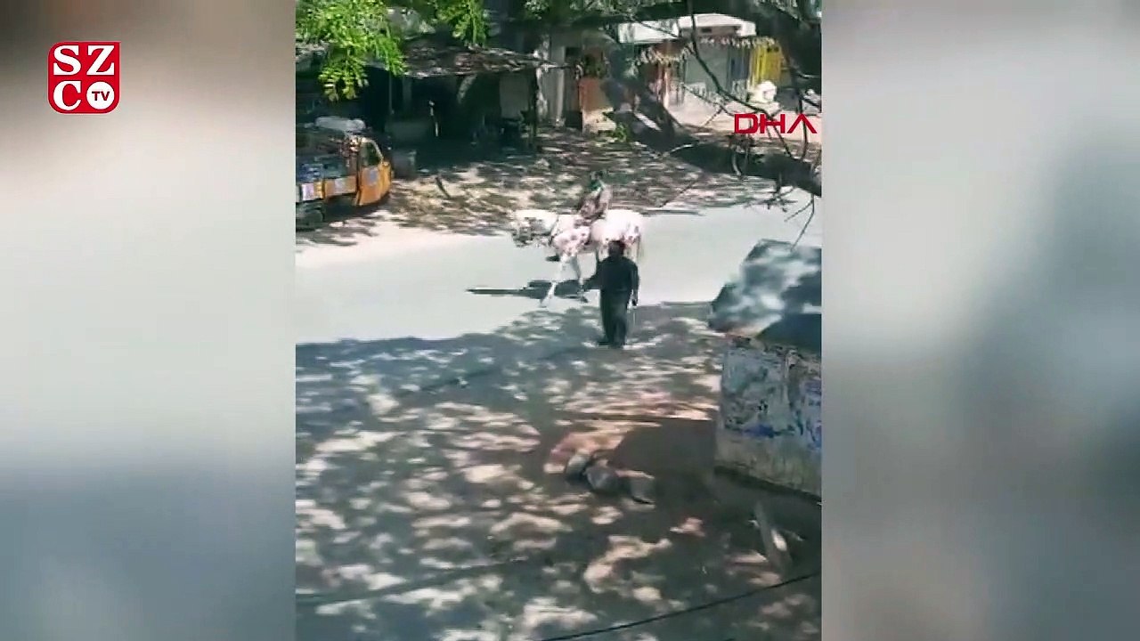 Hindistan'da ilginç koronavirüs uyarısı: Atın üzerine virüsün resmini çizdi