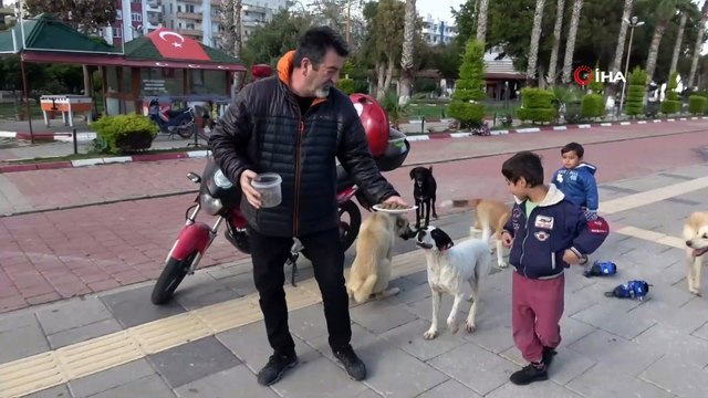Zor günler yaşayan sokak köpeklerine mama desteği