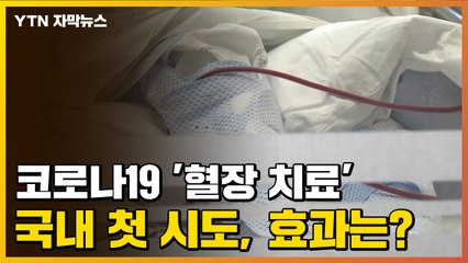 [자막뉴스] 코로나19 '혈장 치료' 국내 첫 시도, 효과는? / YTN