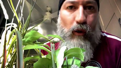 'Camera Café' regresa para animar la cuarentena: "Es lo mejor que he visto"