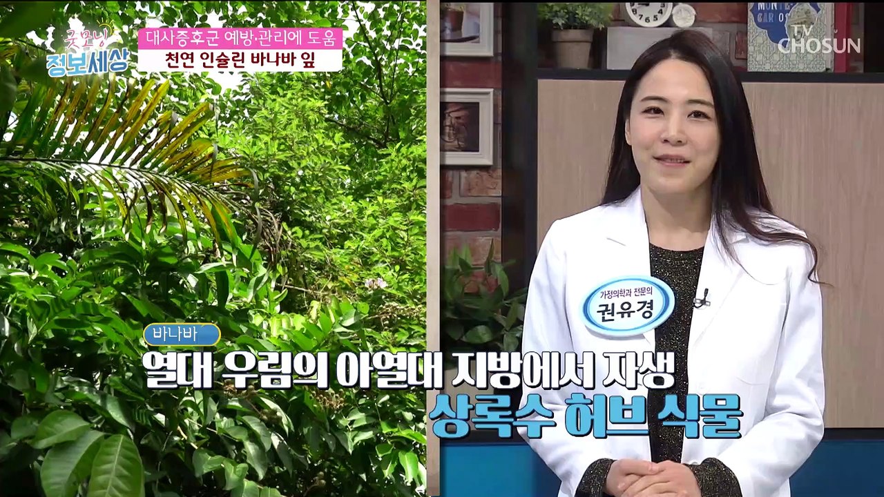 혈당 상승 억제시켜주는 ❛□□□□❜
