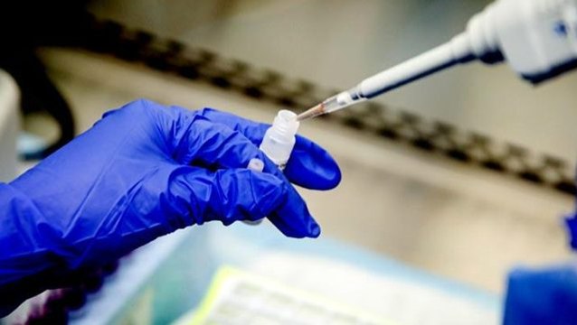 Hayvanlar üzerinde denenecek ilk koronavirüs aşısının sonuçları Haziran'da belli olacak
