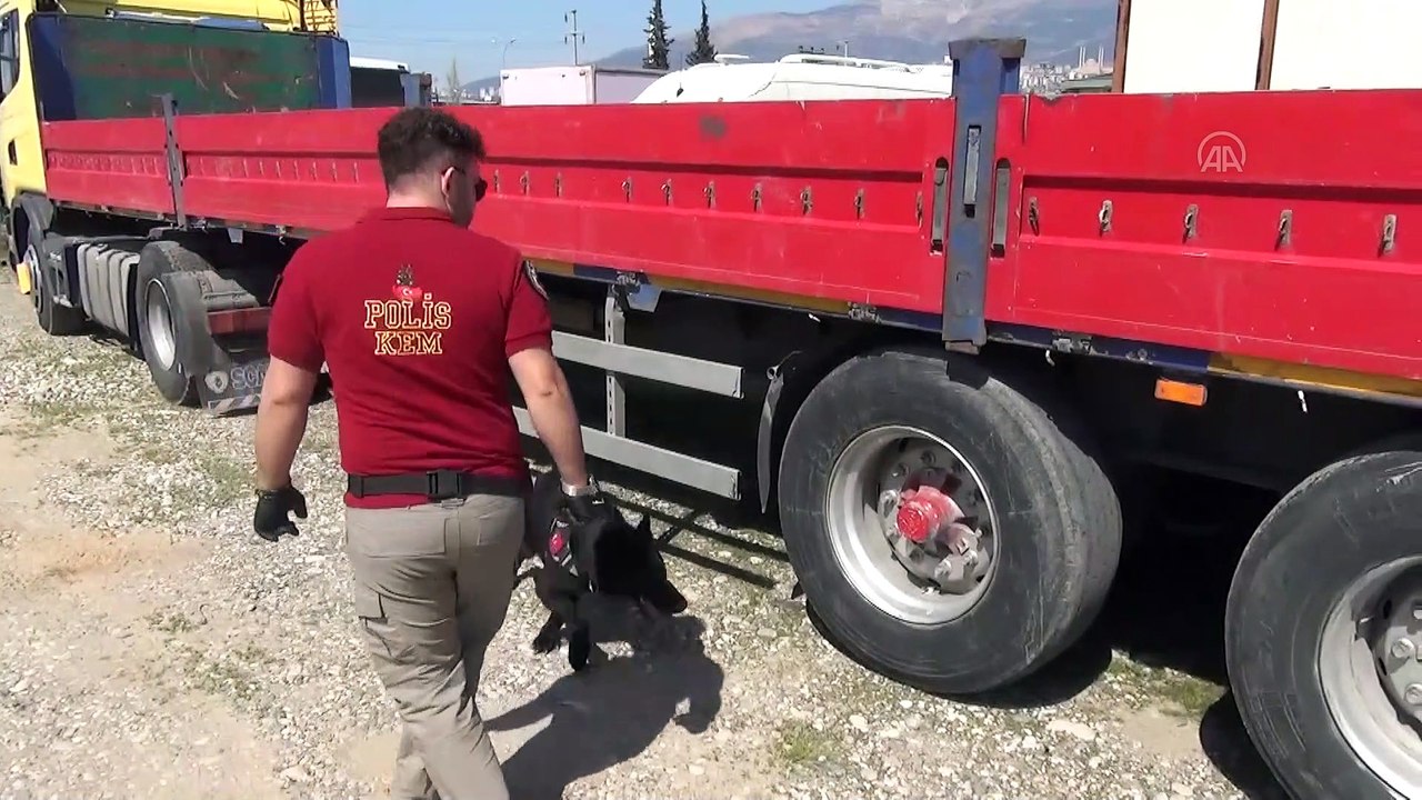 Narkotik dedektör köpeği 'Alfi' polislerin en büyük yardımcısı - KAHRAMANMARAŞ