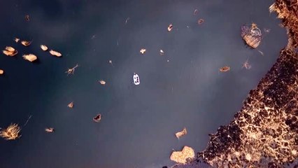 Doğaseverler turistik göldeki balıkları kurtarmak için seferber oldu