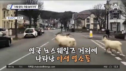 “사람 없대, 마을 놀러가자”