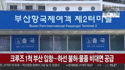 크루즈 1척 부산 입항…하선 불허·물품 비대면 공급