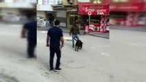 Koronavirüs | Hatay'da esnaf mahallenin köpeğiyle futbol oynadı: Bize zor anlar yaşattı