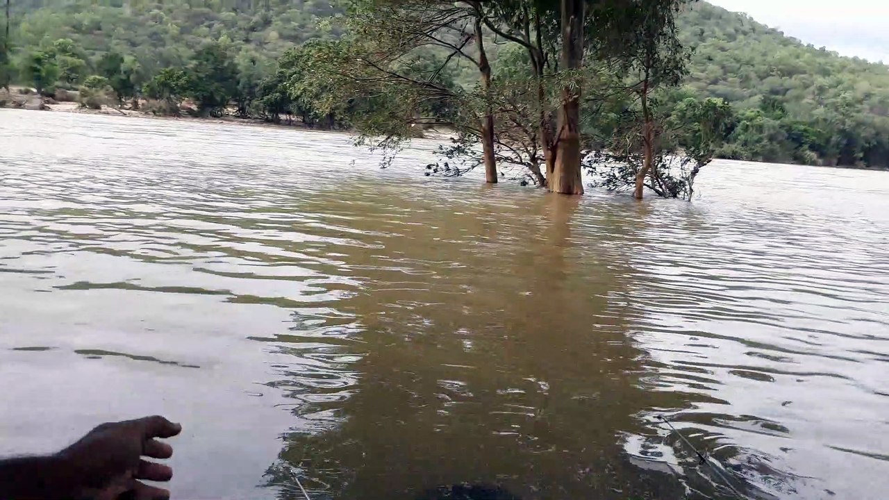 Fishing For River Carp - Carp Fishing in River - How to Catch Carp in Rivers - River Fishing