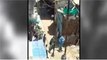 COVID-19: Locals in Indore pelt stones at team of doctors