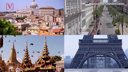 How Social Distancing Among Humans is Affecting Birds