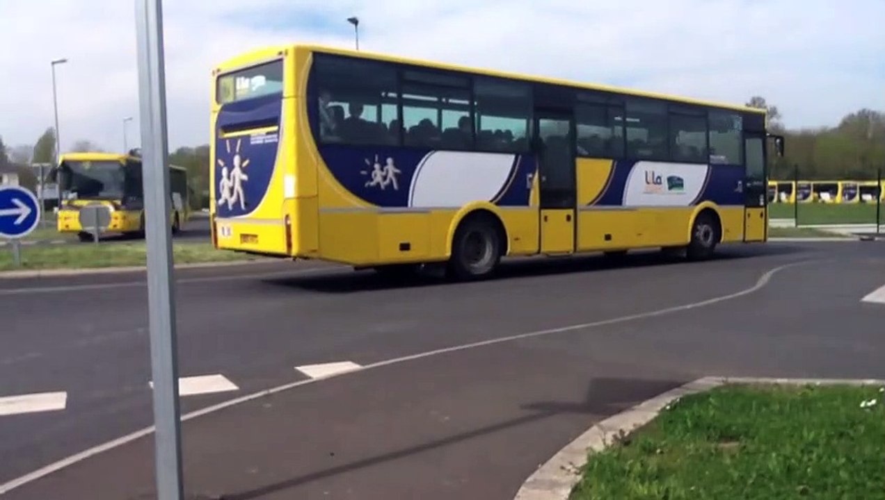 La chenille